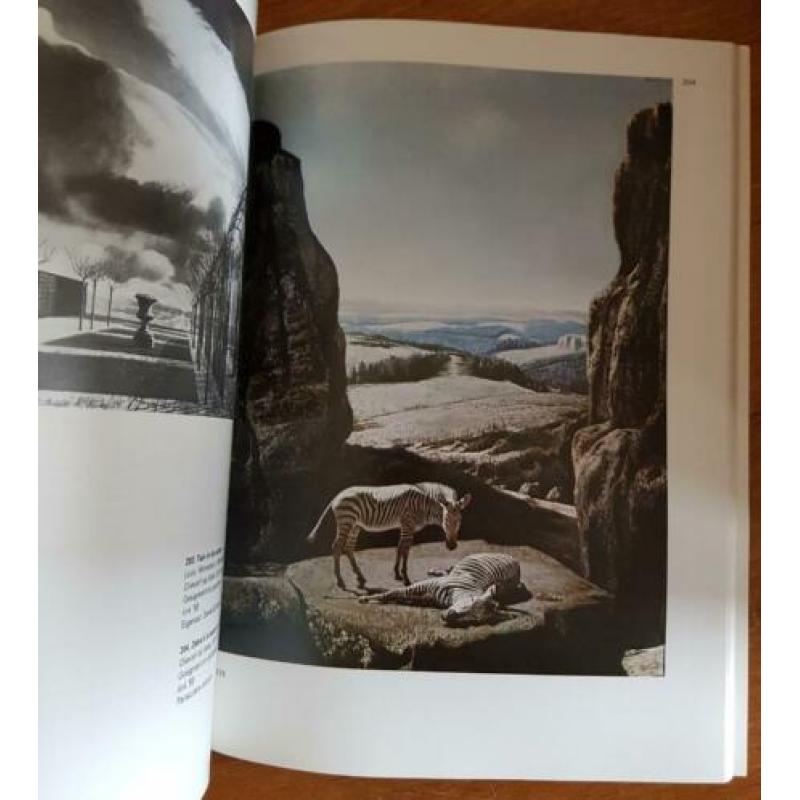 Willink - Walter Kramer - boek over schilder Carel Willink