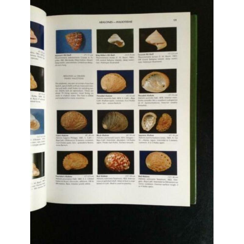 Compendium of seashells - R. Tucker Abbott - 1990