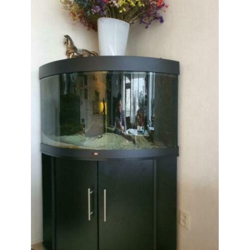 Juwel hoek aquarium 180 litr met zwart onderkast en toebehor