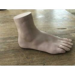 anatomie model voet skeletvoet pedicure
