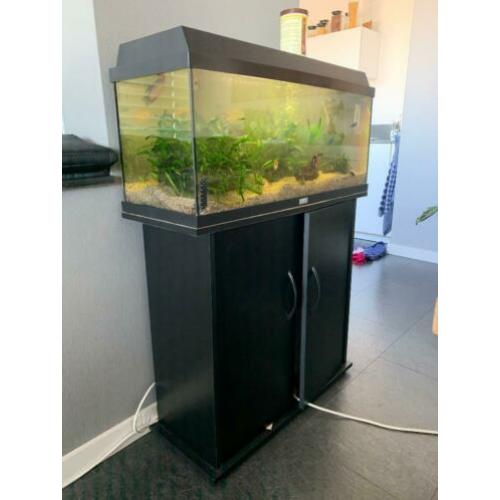 Juwel aquarium 80cm