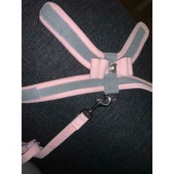 Susan Lanci harness hondentuigje en looplijn roze XXS