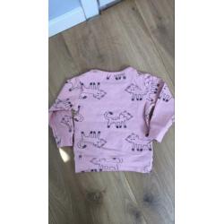 Roze longsleeve shirt lange mouw met poezen mt 74